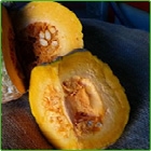 zucca iron cap zucca iron cap