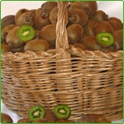 kiwi kiwi
