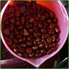 castagne castagne