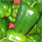 peperoni verdi peperoni verdi