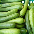 zucchini zucchini