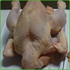 pollo intero pollo intero